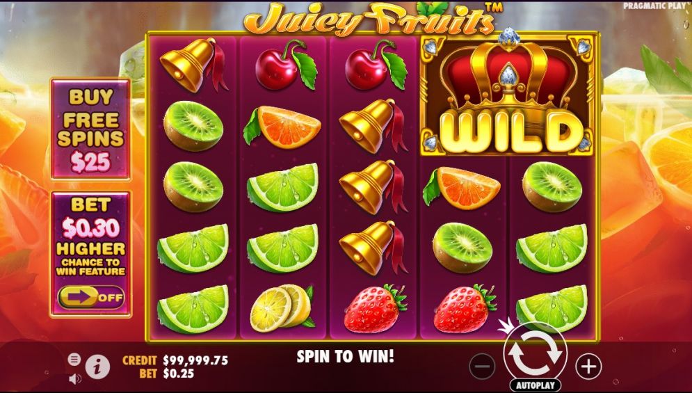 juicy-fruits-slot game