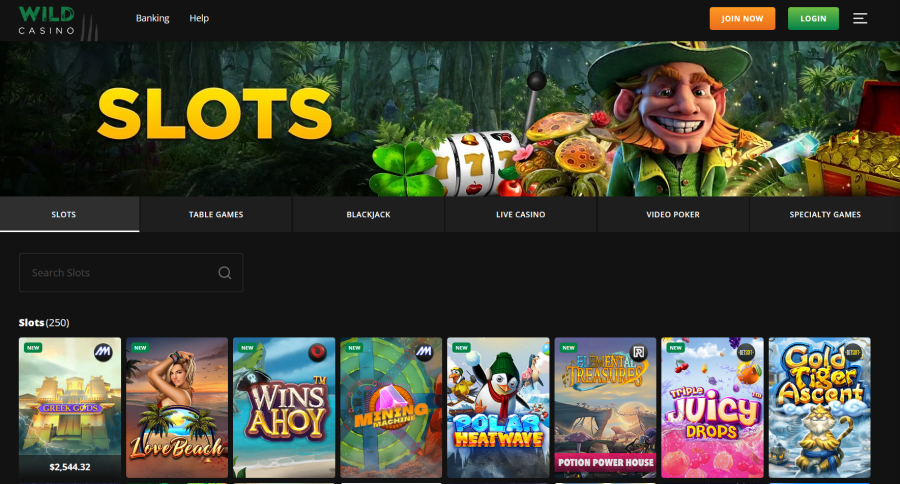 Wild-Casino-Best-NJ-Online-Casino-Apps - Best Online Casinos New Jersey